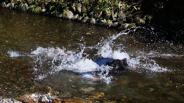 【PR】はるやま商事　らくティブスーツ