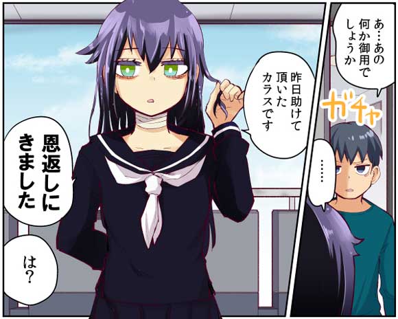 恩返しにやってきたカラスがドジっ子　むしろ借りが増えていく漫画が笑えてかわいい