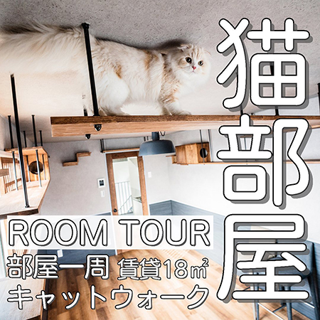 猫大家さんのねこ部屋