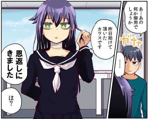 恩返し 助けた カラス ドジっ子 漫画