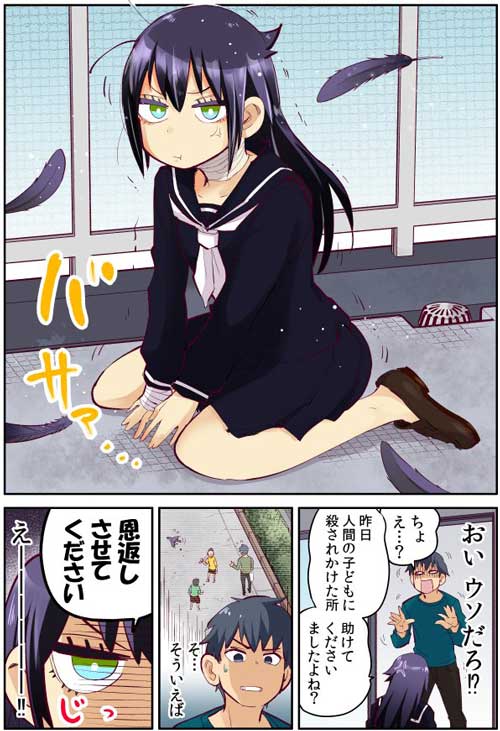 恩返し 助けた カラス ドジっ子 漫画