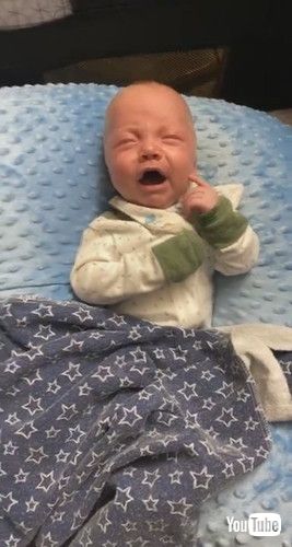 「Twin Brother is Fed Up With the Whining || ViralHog」