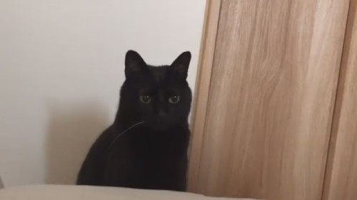 ま……まばたき……さえしない