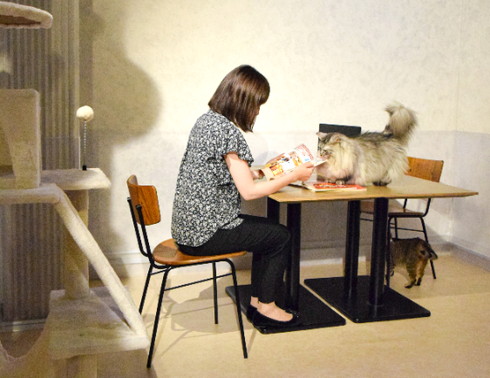 ニャワーケーション