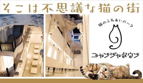 ナンジャタウン ニャワーケーションプラン