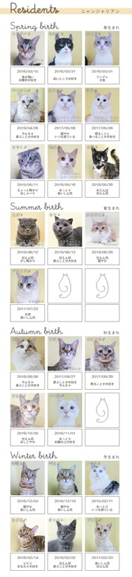 ナンジャタウン ニャワーケーションプラン