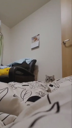 もっふんもふまるくん