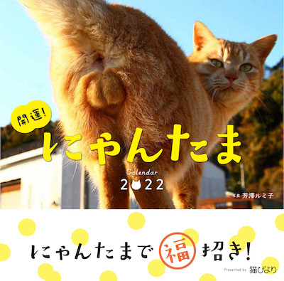 にゃんたまカレンダー
