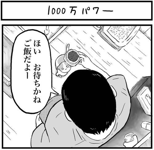 猫漫画