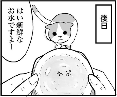 猫漫画