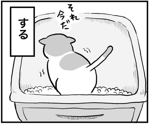 猫漫画