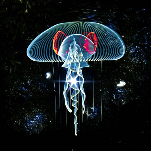 幻想的なライトペイティング