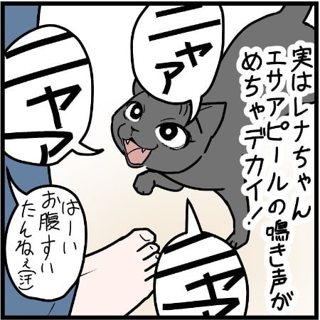 コボボイさん