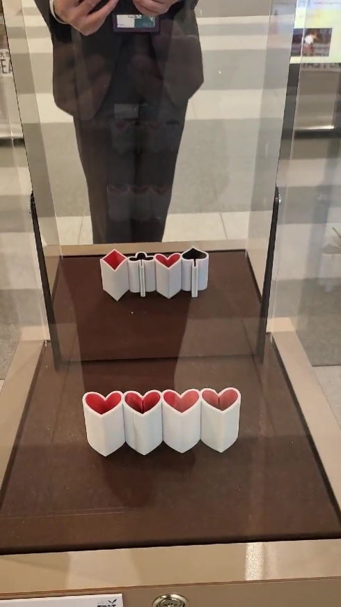 錯視 明治大学 杉原厚吉 立体