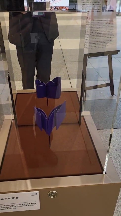 錯視 明治大学 杉原厚吉 立体