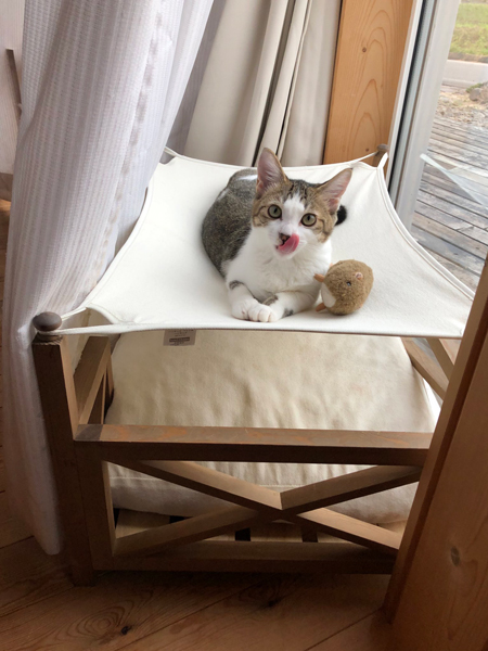 ハンモックねんねちゃん