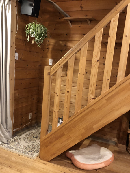 ストーブから逃げたねんねちゃん