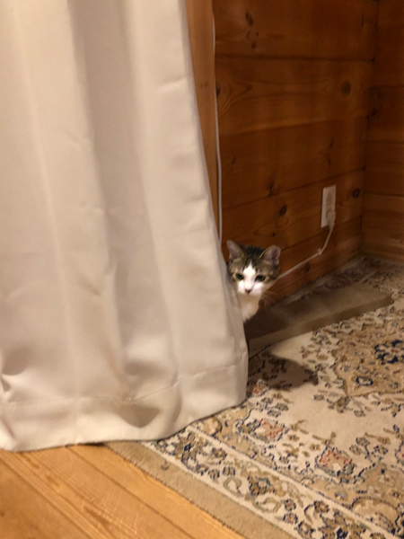 ストーブ怖いねんねちゃん