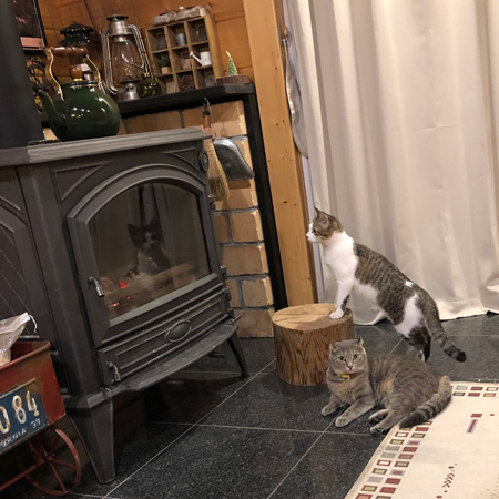 こわごわストーブを覗き込むねんねちゃん