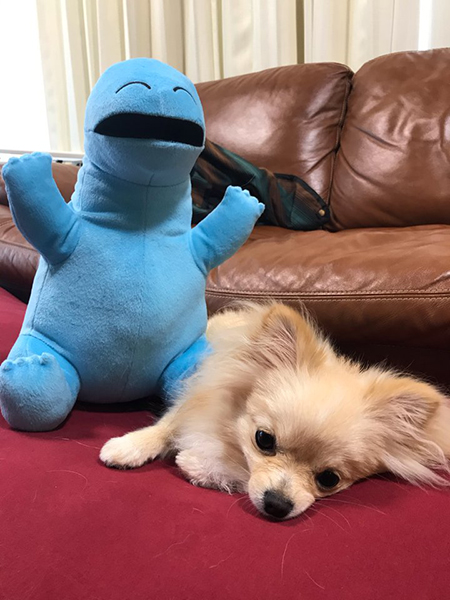 しらたまちゃんと恐竜