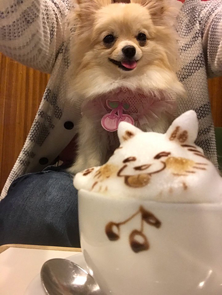 しらたまちゃんとラテアート