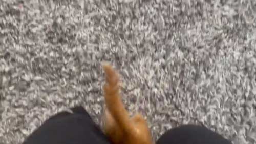 保護 子猫 じゃれ合い 股 逃げる