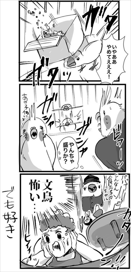 お怒り顔のフグ釣った