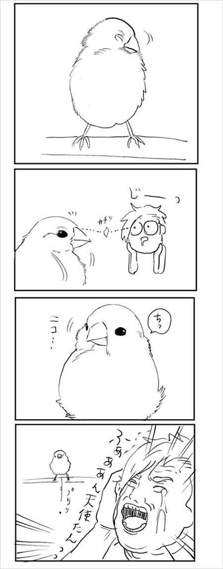 お怒り顔のフグ釣った