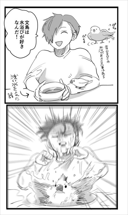 お怒り顔のフグ釣った