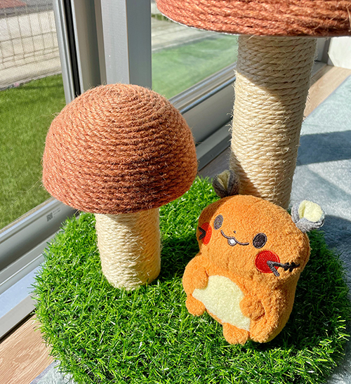 日向ぼっこデデンネさん