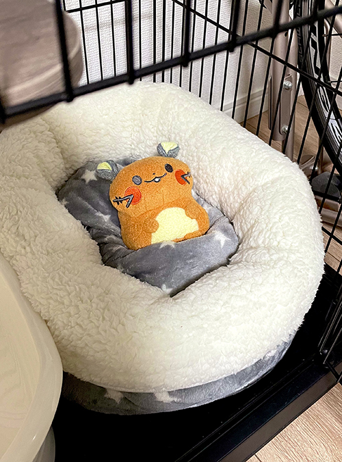 ベッドデデンネさん