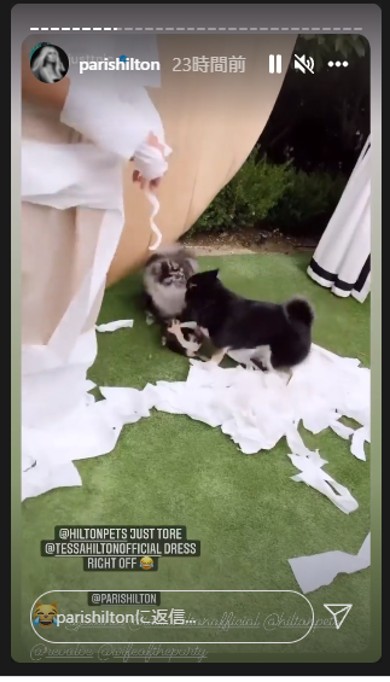 パリスヒルトン セレブ ブリトニースピアーズ お騒がせセレブ