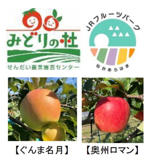 Takanawa Gateway Fest 2021