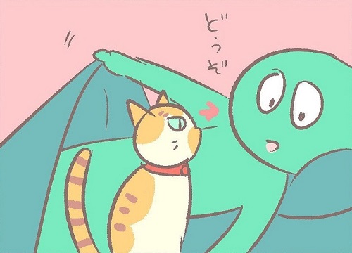 布団に入らない猫