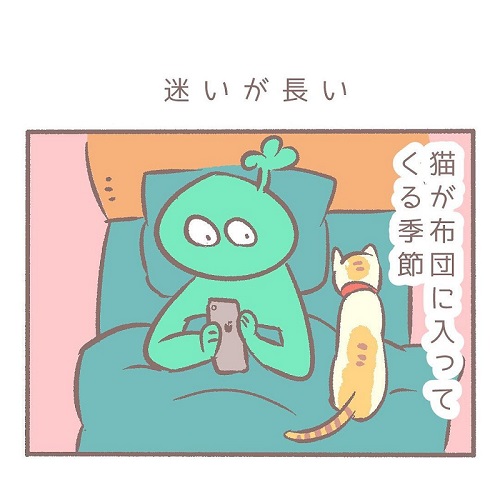 布団に入らない猫