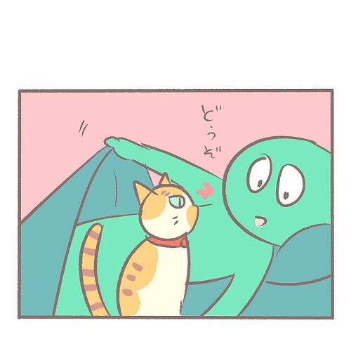 布団に入らない猫