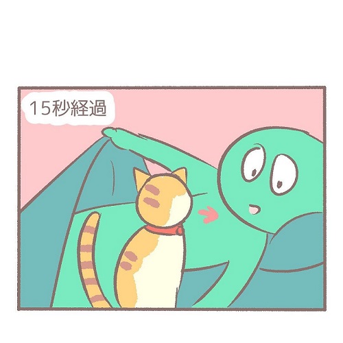 布団に入らない猫