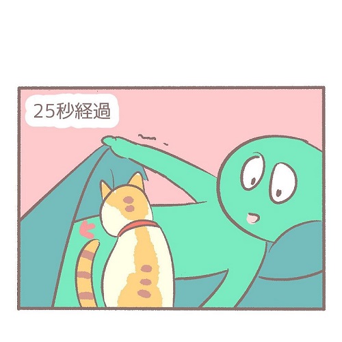 布団に入らない猫