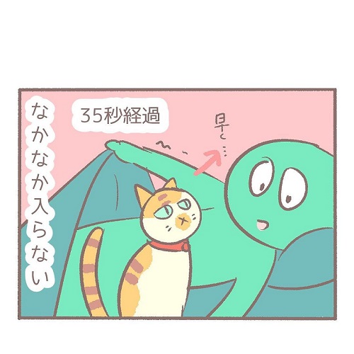 布団に入らない猫