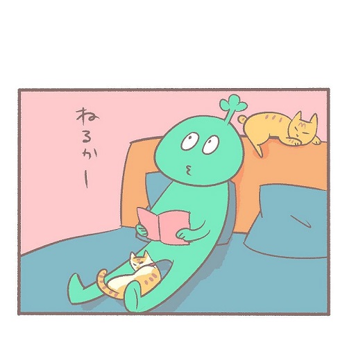 布団に入らない猫