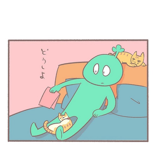 布団に入らない猫