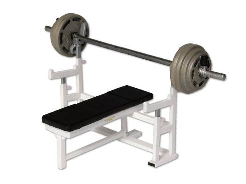 ゴールドジム 筋肉