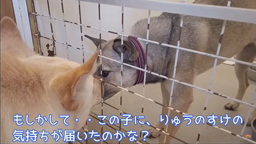 歩み寄るアッチャン