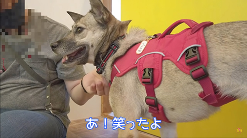 笑顔のアッチャン