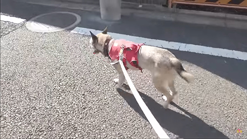 アッチャン横から