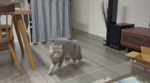 おすすめ
