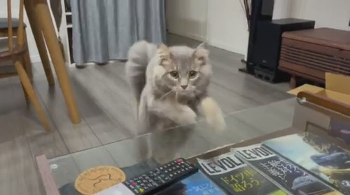 やんのかステップ睦くん