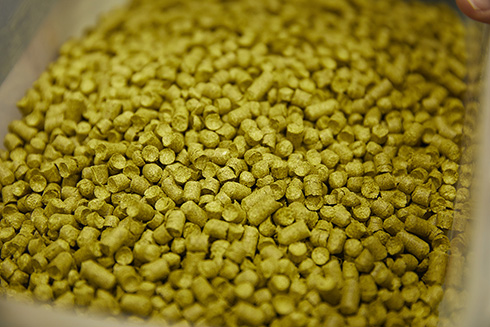 猫好きが大喜びで即日完売「ねこしかしんじられない」　かわいいと話題のビール販売店に名前の由来を聞いた