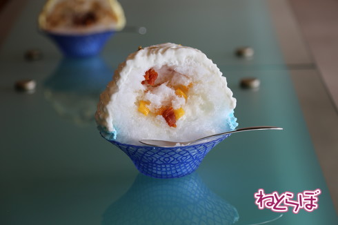 かき氷 新幹線 シンカンセンスゴイカタイアイス