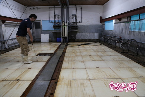 かき氷 新幹線 シンカンセンスゴイカタイアイス